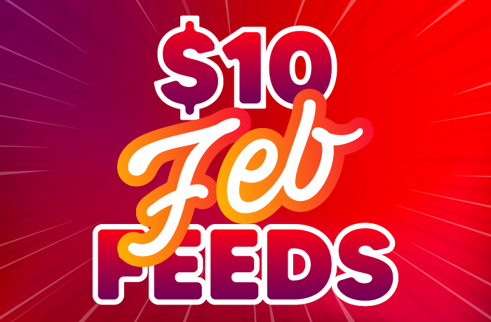 $10 Feb Feeds
